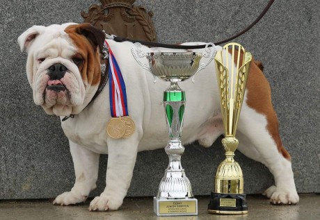 FB_IMG_1580041274755